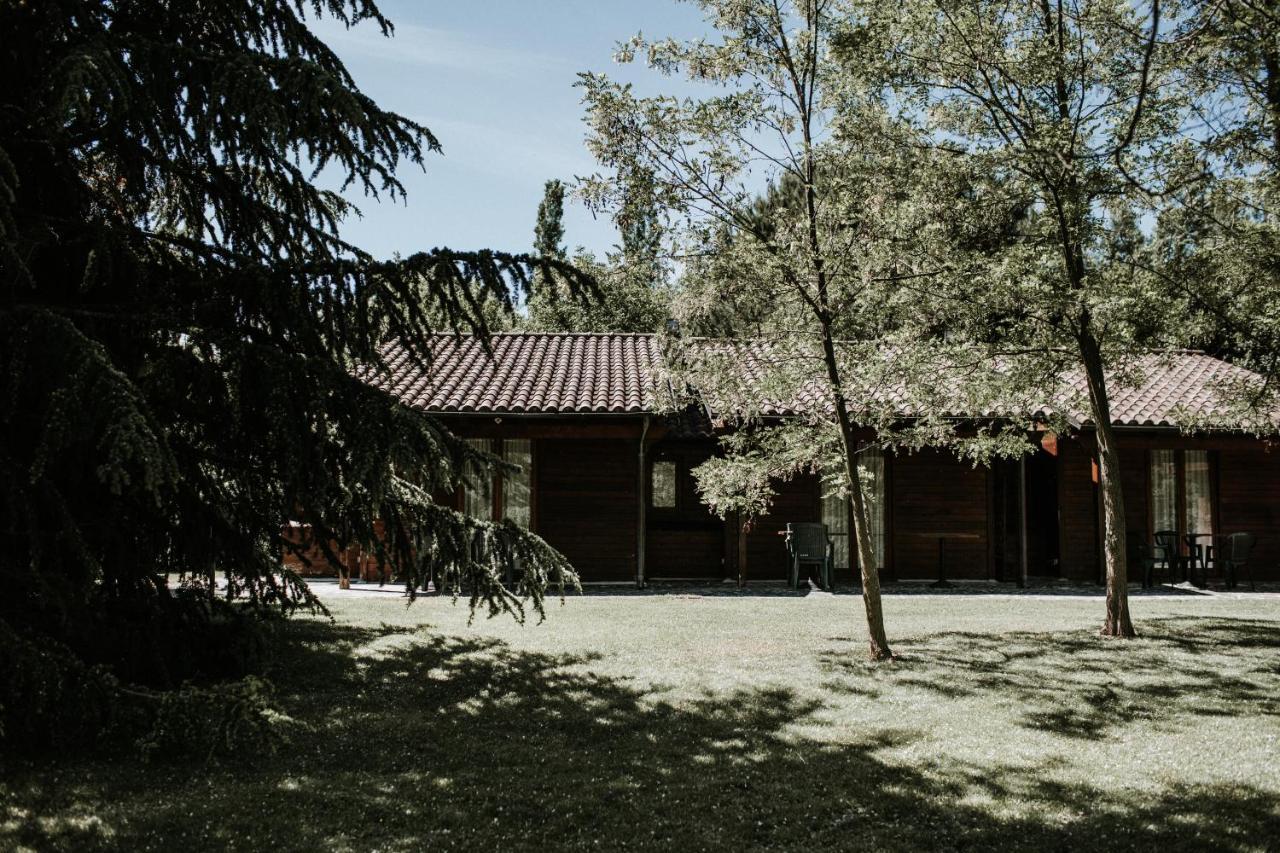L'Anfora Country Club Bed and Breakfast Basciano Buitenkant foto