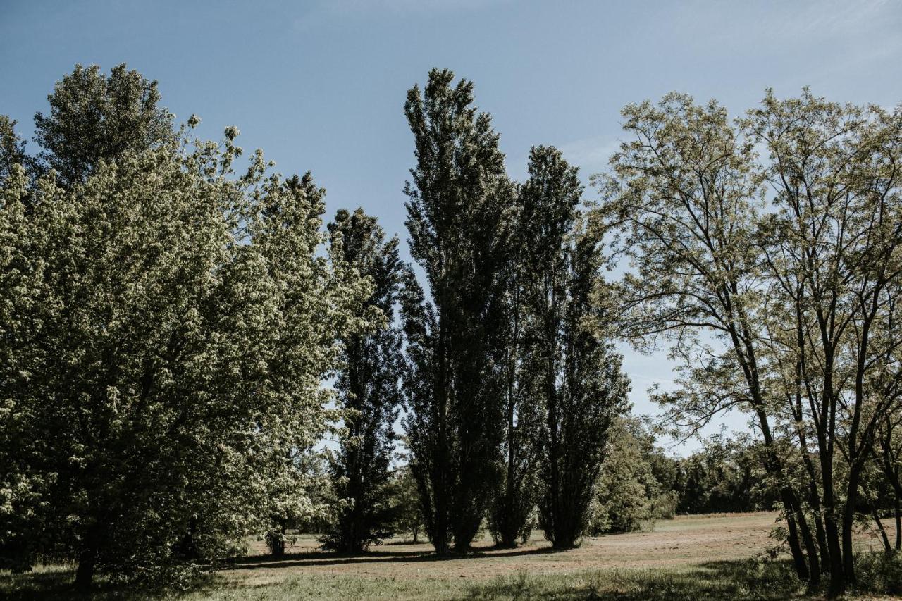 L'Anfora Country Club Bed and Breakfast Basciano Buitenkant foto